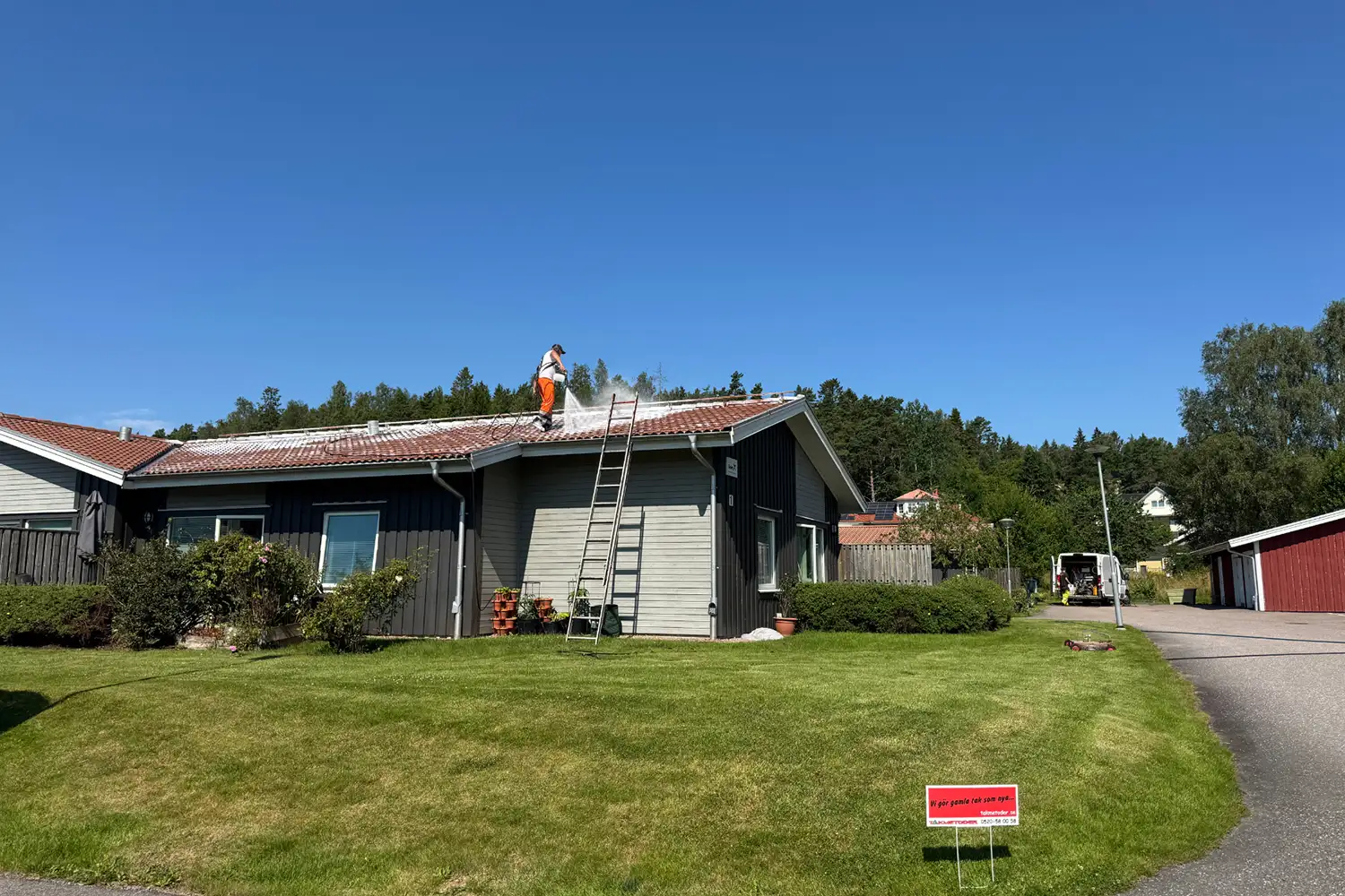 Mossa orsakar skador på taket