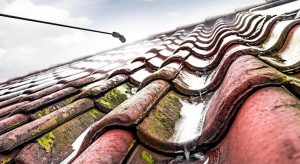 algbehandling på tak